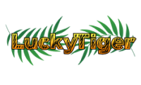 Lucky Tiger Casino